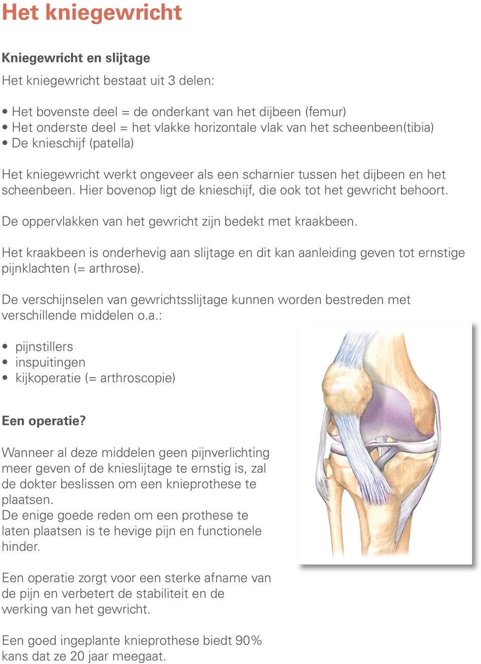 De oppervlakken van het gewricht zijn bedekt met kraakbeen. Het kraakbeen is onderhevig aan slijtage en dit kan aanleiding geven tot ernstige pijnklachten (= arthrose).