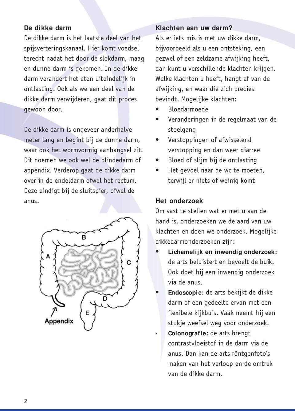 De dikke darm is ongeveer anderhalve meter lang en begint bij de dunne darm, waar ook het wormvormig aanhangsel zit. Dit noemen we ook wel de blindedarm of appendix.