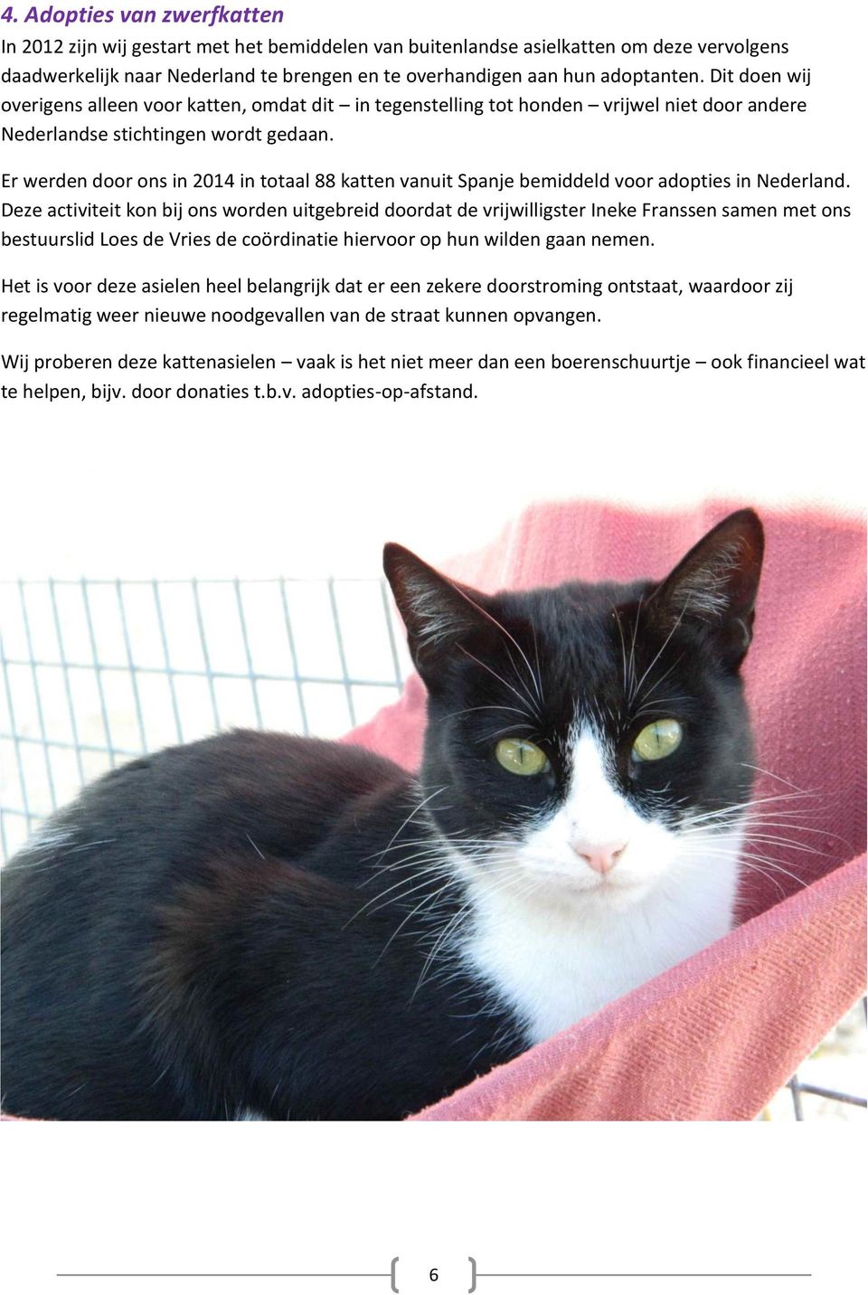 Er werden door ons in 2014 in totaal 88 katten vanuit Spanje bemiddeld voor adopties in Nederland.