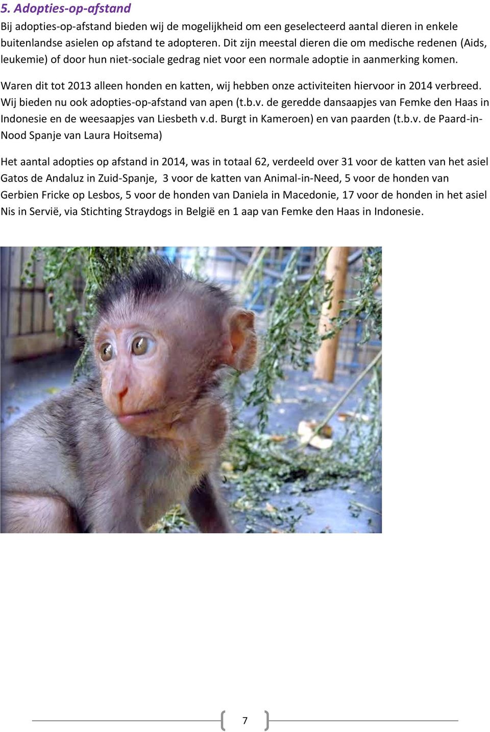 Waren dit tot 2013 alleen honden en katten, wij hebben onze activiteiten hiervoor in 2014 verbreed. Wij bieden nu ook adopties-op-afstand van apen (t.b.v. de geredde dansaapjes van Femke den Haas in Indonesie en de weesaapjes van Liesbeth v.