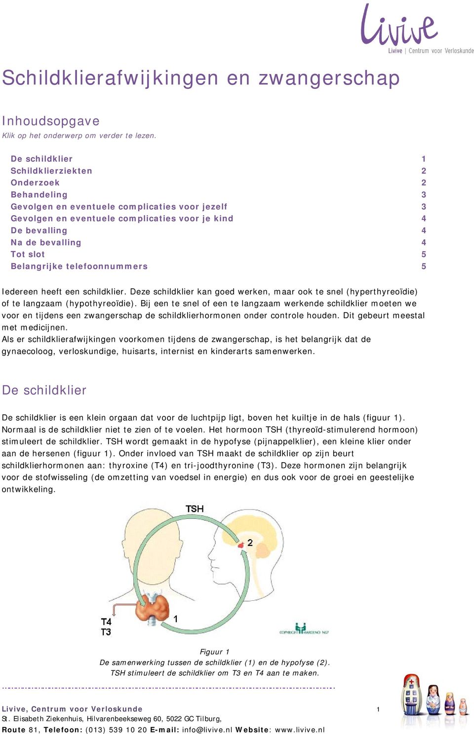 slot 5 Belangrijke telefoonnummers 5 Iedereen heeft een schildklier. Deze schildklier kan goed werken, maar ook te snel (hyperthyreoïdie) of te langzaam (hypothyreoïdie).