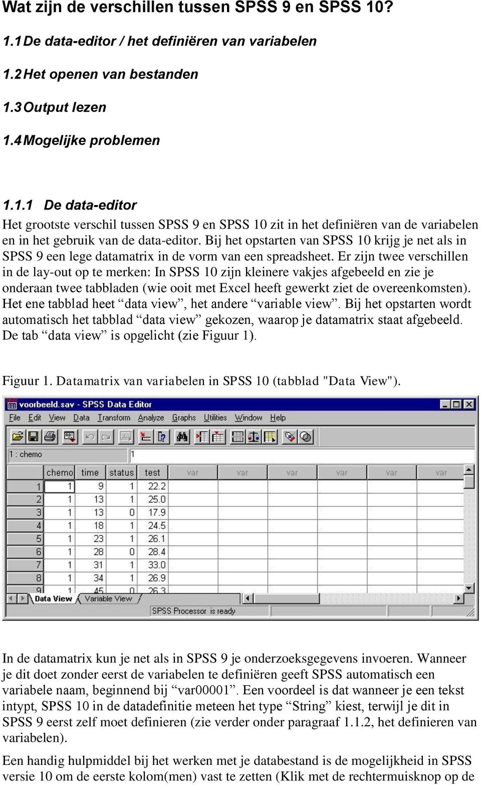 Er zijn twee verschillen in de lay-out op te merken: In SPSS 10 zijn kleinere vakjes afgebeeld en zie je onderaan twee tabbladen (wie ooit met Excel heeft gewerkt ziet de overeenkomsten).