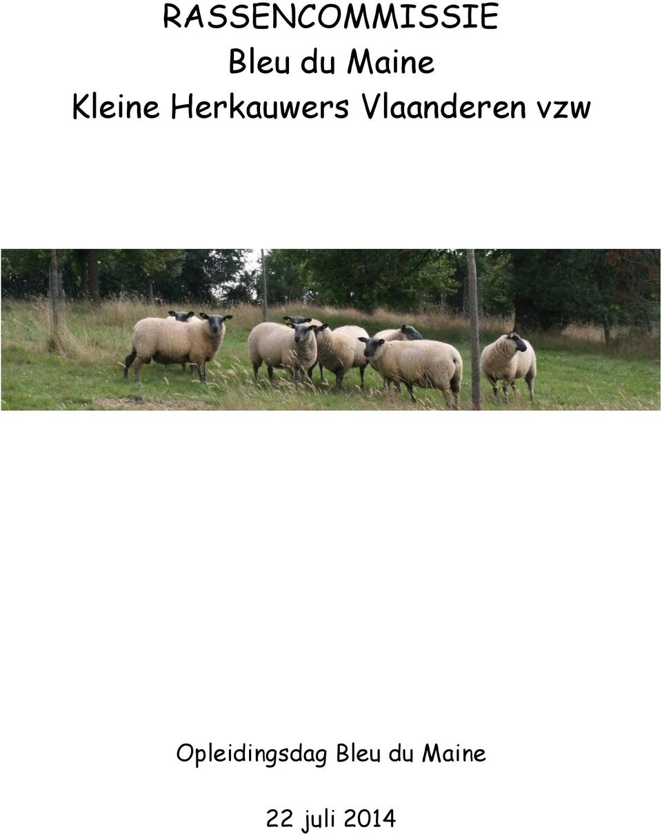 Vlaanderen vzw