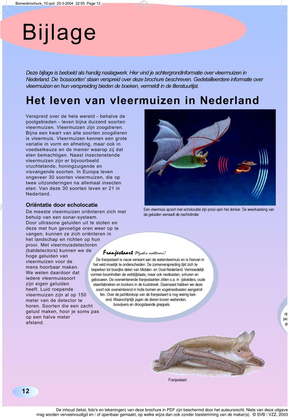 Het leven van vleermuizen in Nederland Verspreid over de hele wereld - behalve de poolgebieden - leven bijna duizend soorten vleermuizen. Vleermuizen zijn zoogdieren.