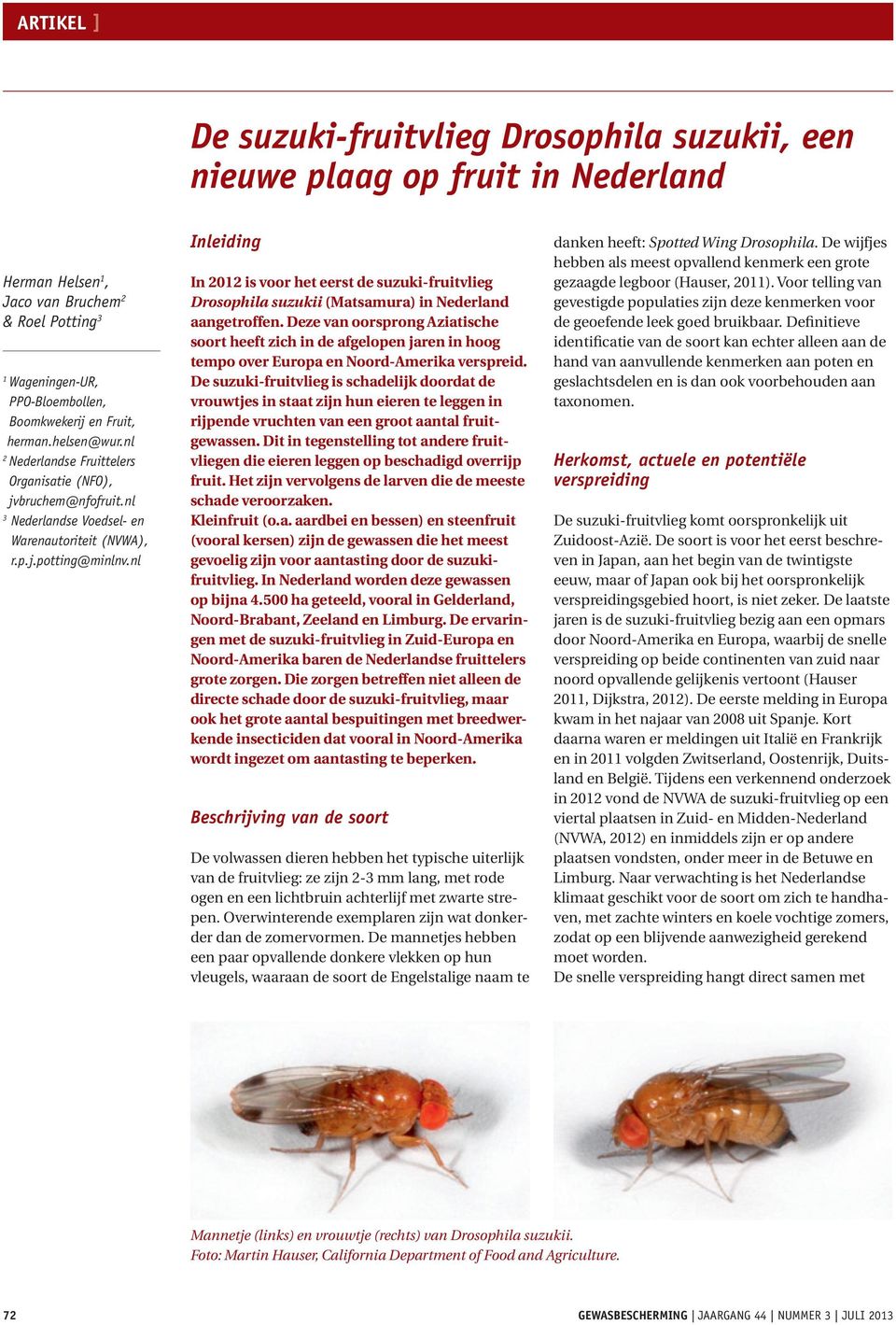 nl Inleiding In 2012 is voor het eerst de suzuki-fruitvlieg Drosophila suzukii (Matsamura) in Nederland aangetroffen.