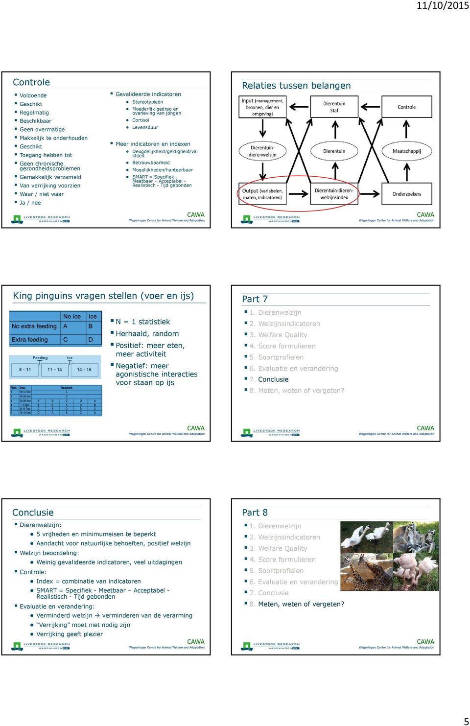 iditeit Betrouwbaarheid Mogelijkheden/hanteerbaar SMART = Specifiek - Meetbaar Acceptabel - Realistisch - Tijd gebonden Relaties tussen belangen King pinguins vragen stellen (voer en ijs) N = 1