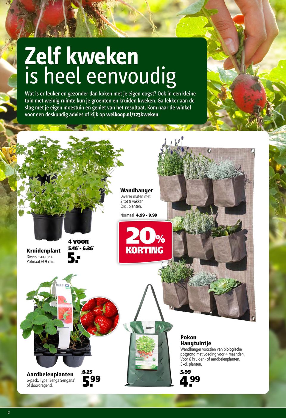 Kom naar de winkel voor een deskundig advies of kijk op welkoop.nl/123kweken Wandhanger Diverse maten met 2 tot 9 vakken. Excl. planten. LR graag HR aanleveren Normaal 4.99-9.