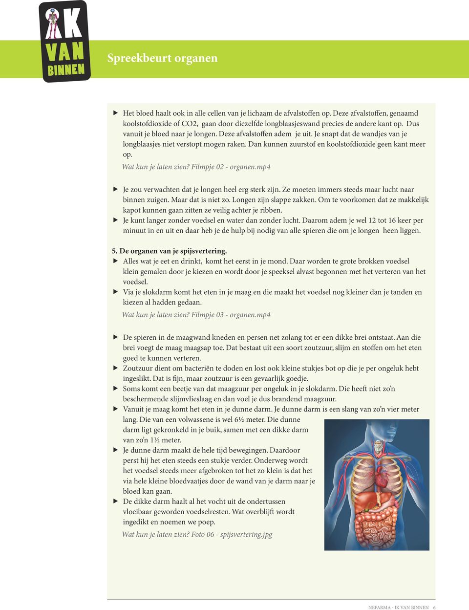 Wat kun je laten zien? Filmpje 02 - organen.mp4 Je zou verwachten dat je longen heel erg sterk zijn. Ze moeten immers steeds maar lucht naar binnen zuigen. Maar dat is niet zo.