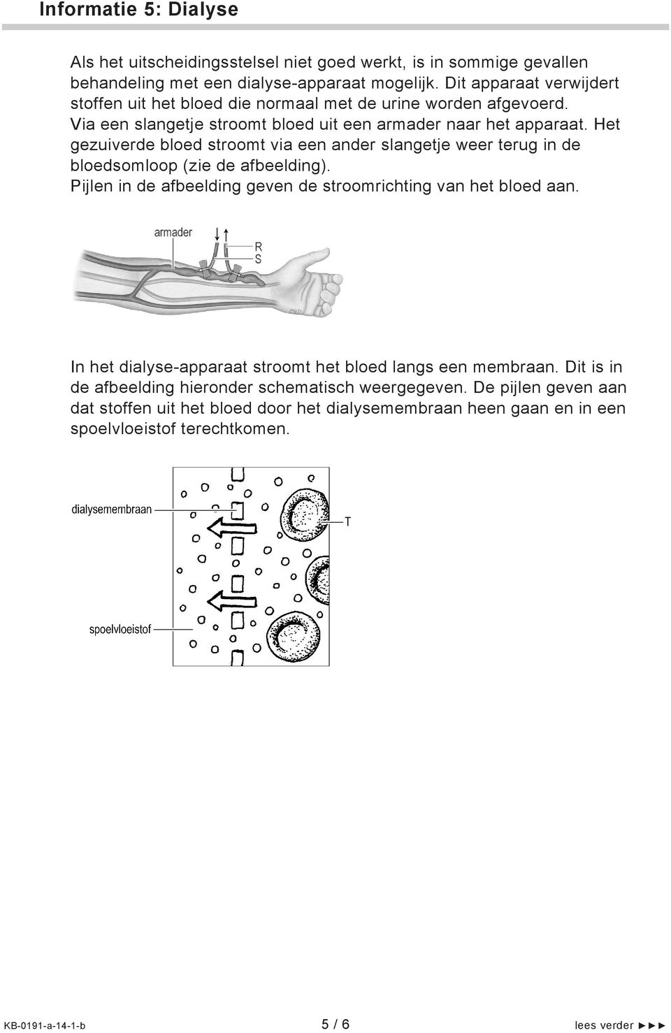 Het gezuiverde bloed stroomt via een ander slangetje weer terug in de bloedsomloop (zie de afbeelding). Pijlen in de afbeelding geven de stroomrichting van het bloed aan.