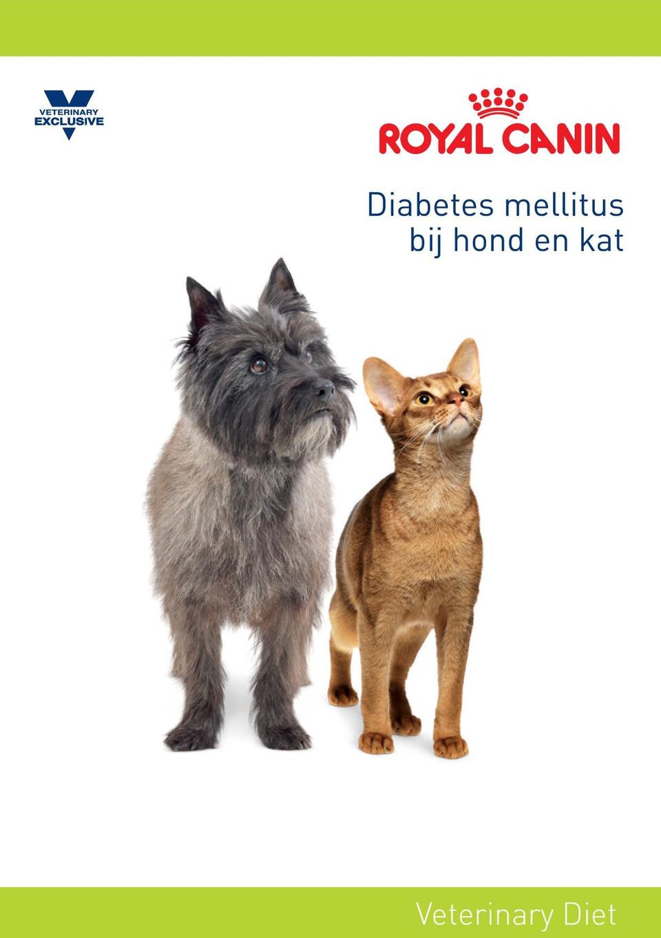 hond en kat