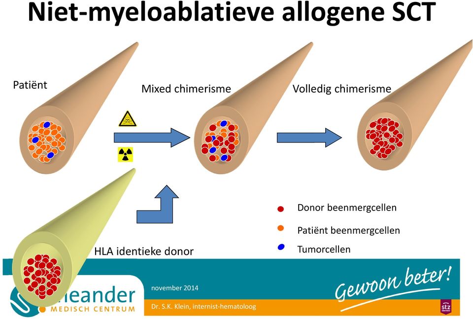 chimerisme HLA identieke donor Donor