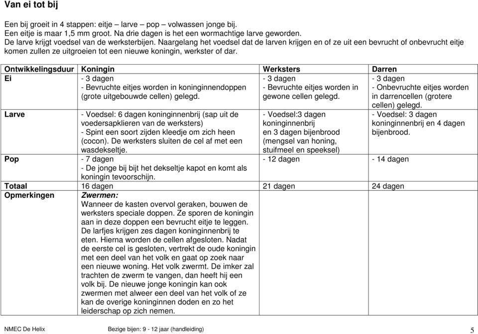 Naargelang het voedsel dat de larven krijgen en of ze uit een bevrucht of onbevrucht eitje komen zullen ze uitgroeien tot een nieuwe koningin, werkster of dar.