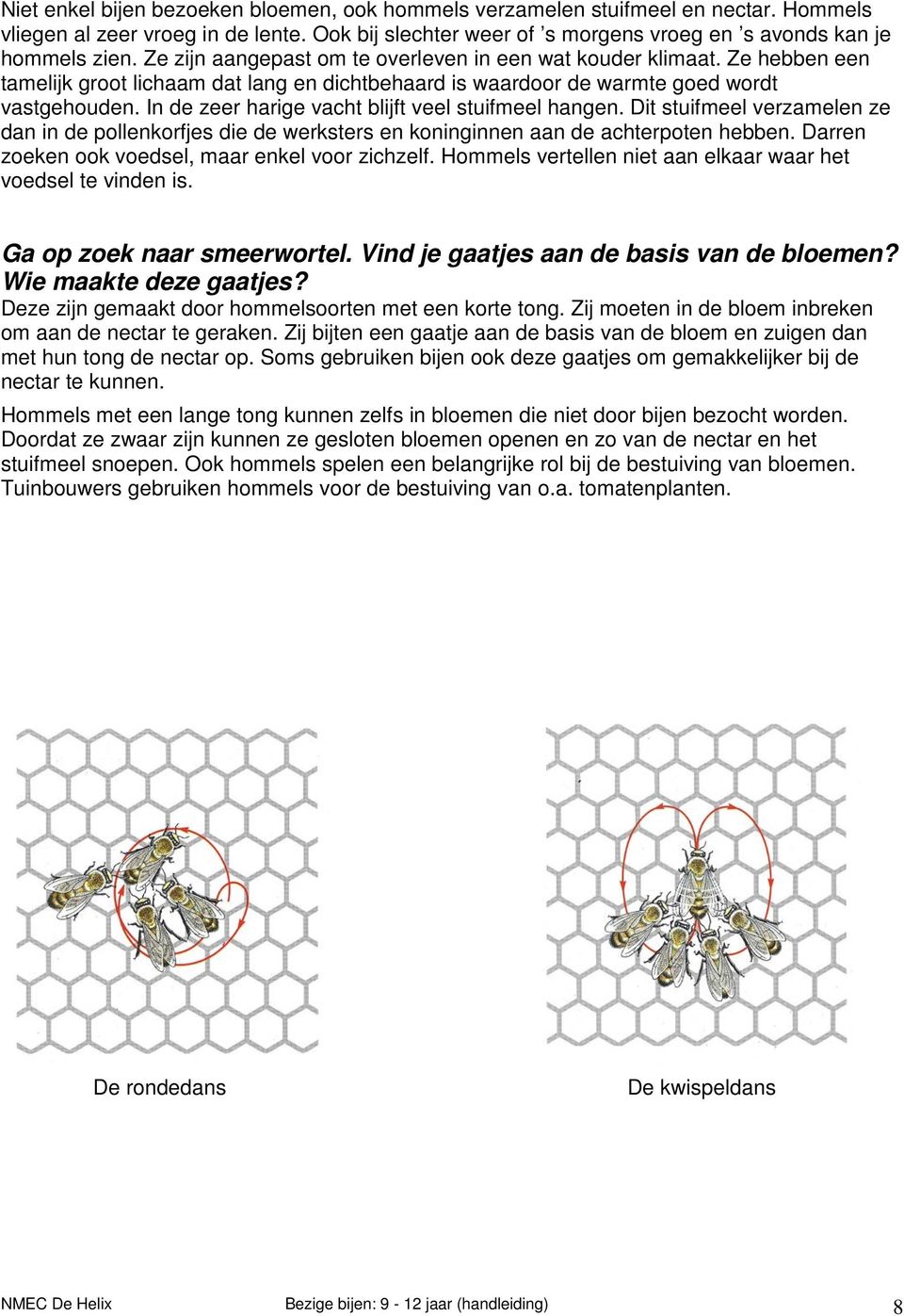 In de zeer harige vacht blijft veel stuifmeel hangen. Dit stuifmeel verzamelen ze dan in de pollenkorfjes die de werksters en koninginnen aan de achterpoten hebben.