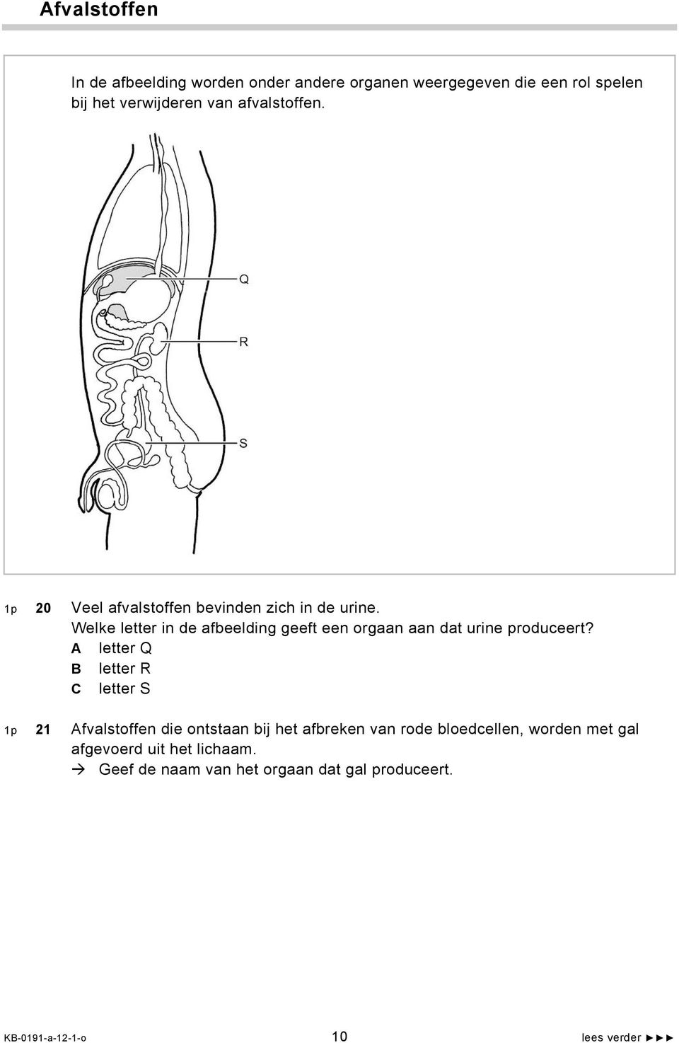 Welke letter in de afbeelding geeft een orgaan aan dat urine produceert?