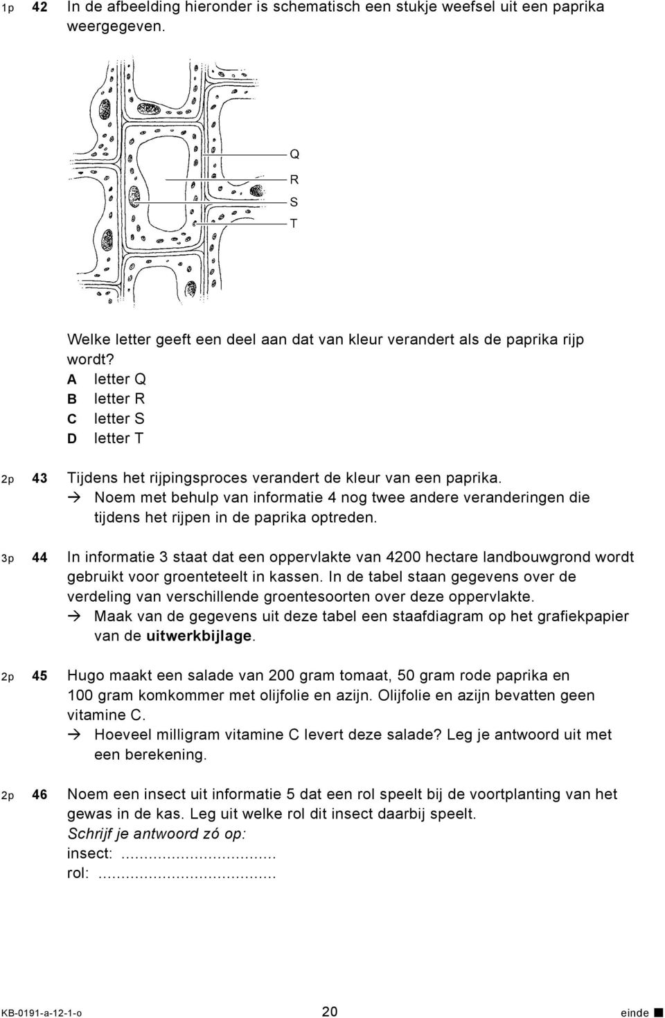 Noem met behulp van informatie 4 nog twee andere veranderingen die tijdens het rijpen in de paprika optreden.