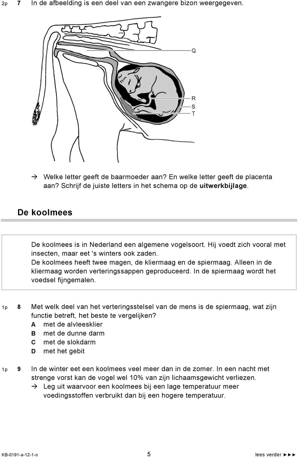 De koolmees heeft twee magen, de kliermaag en de spiermaag. Alleen in de kliermaag worden verteringssappen geproduceerd. In de spiermaag wordt het voedsel fijngemalen.