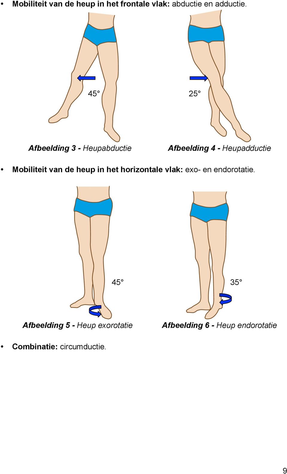 van de heup in het horizontale vlak: exo- en endorotatie.