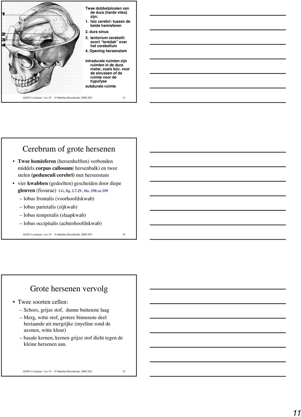 voor de sinussen of de ruimte voor de hypofyse subdurale ruimte ANZN 1e leerjaar - Les 19 - Matthieu Berenbroek, 2000-2011 31 Cerebrum of grote hersenen Twee hemisferen (hersenhelften) verbonden