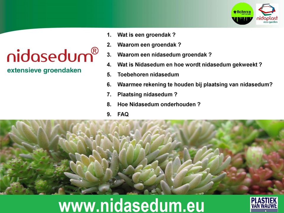 Wat is Nidasedum en hoe wordt nidasedum gekweekt? 5.