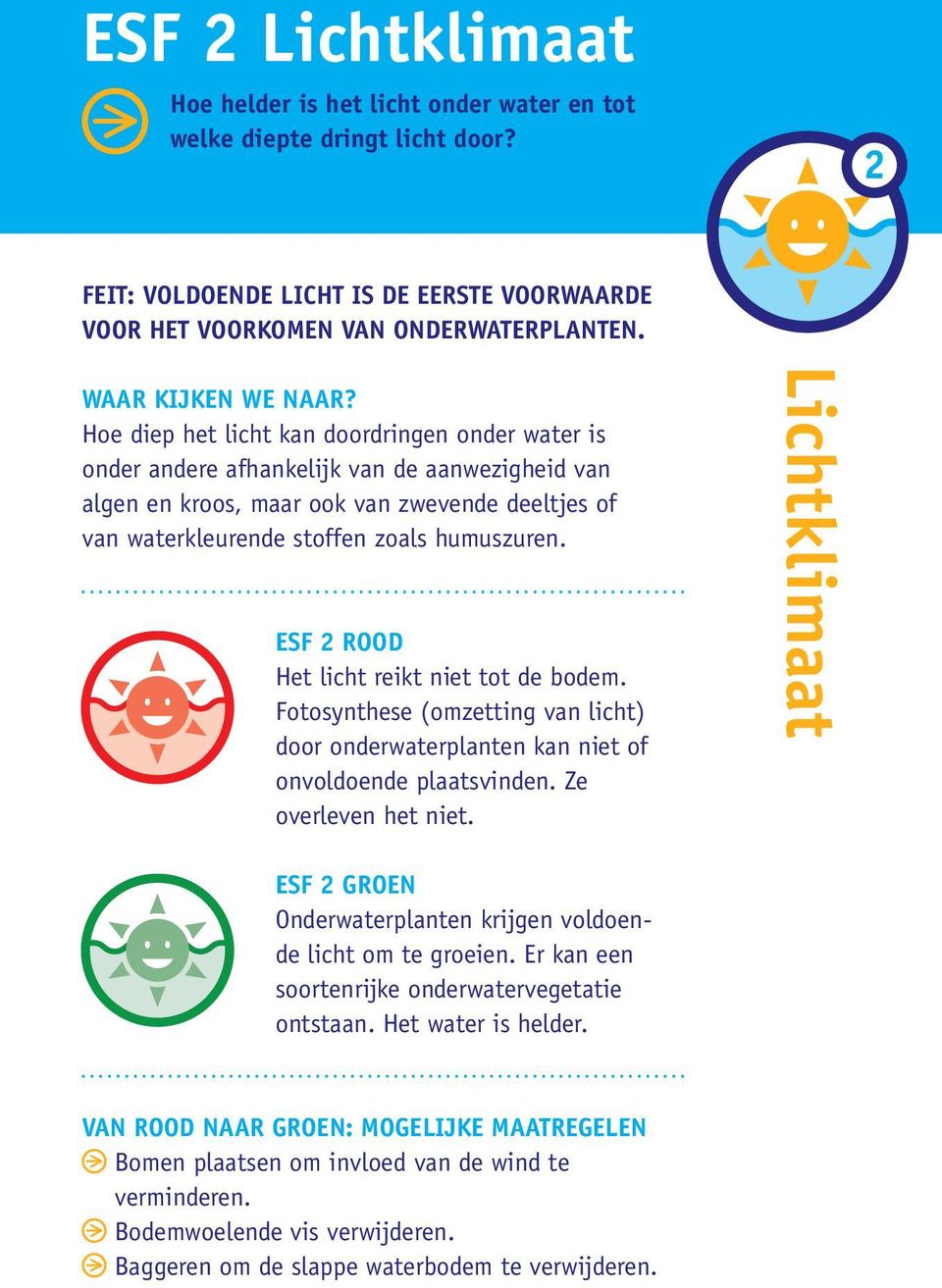 Hoe diep het licht kan doordringen onder water is onder andere afhankelijk van de aanwezigheid van algen en kroos, maar ook van zwevende deeltjes of van waterkleurende stoffen zoals humuszuren.