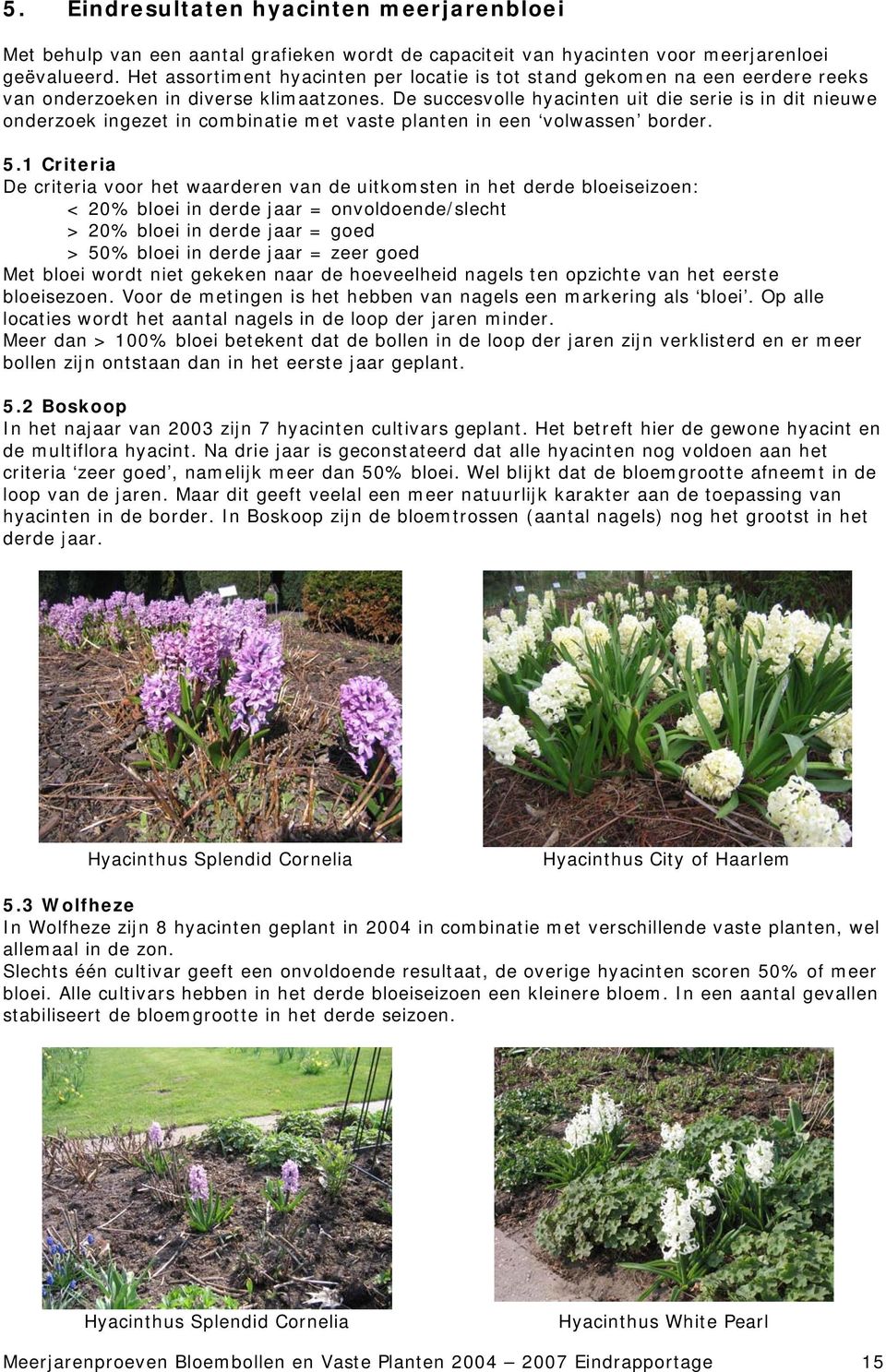 De succesvolle hyacinten uit die serie is in dit nieuwe onderzoek ingezet in combinatie met vaste planten in een volwassen border. 5.