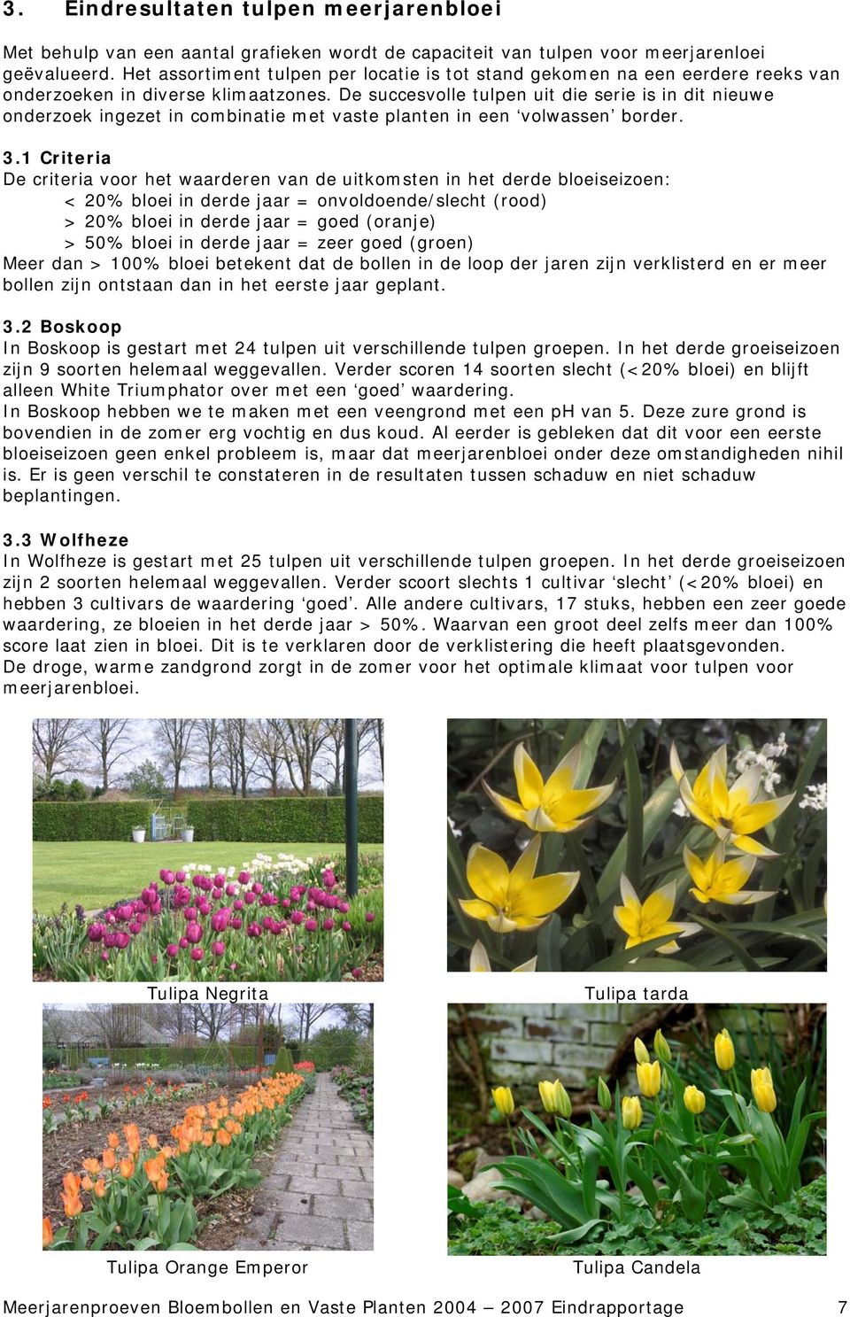 De succesvolle tulpen uit die serie is in dit nieuwe onderzoek ingezet in combinatie met vaste planten in een volwassen border. 3.