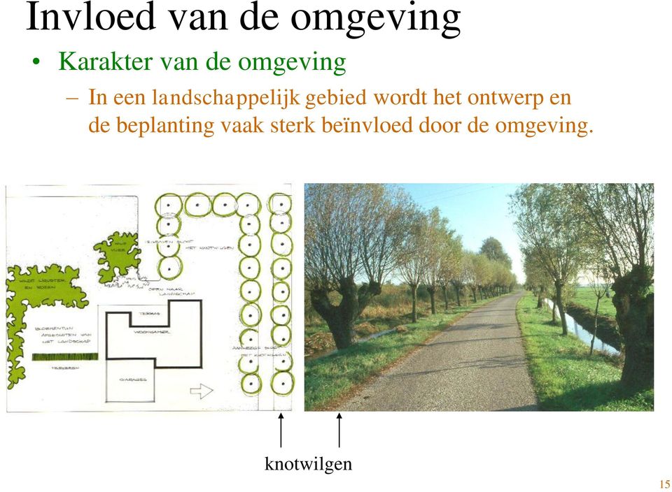 wordt het ontwerp en de beplanting vaak