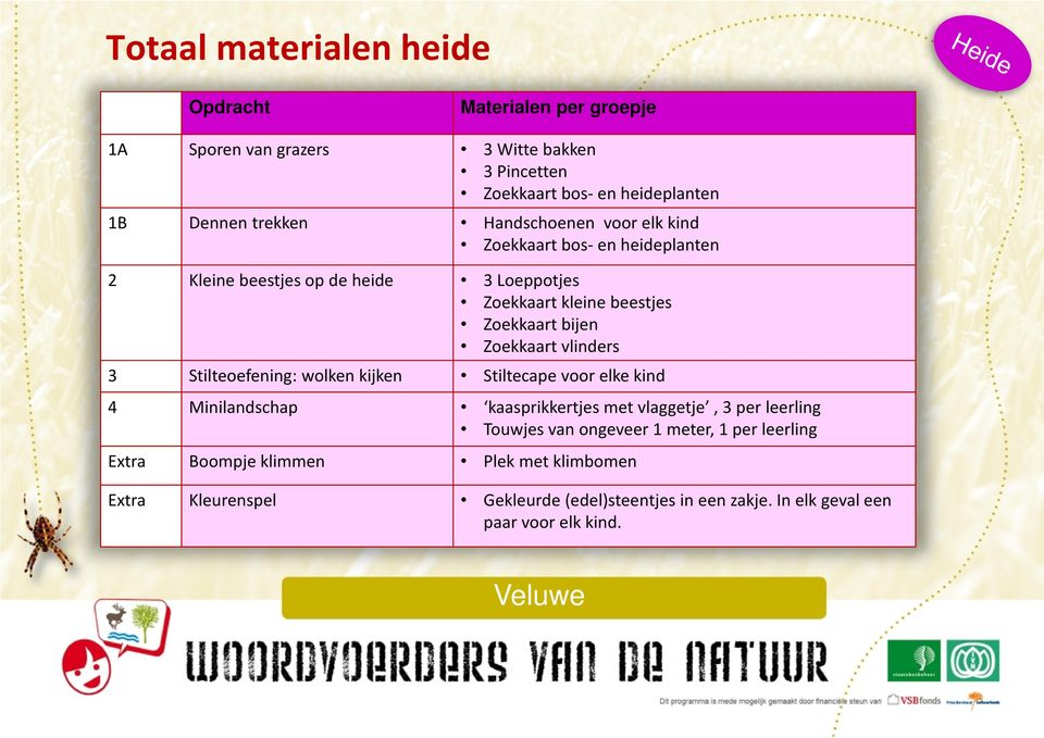 Zoekkaart vlinders 3 Stilteoefening: wolken kijken Stiltecape voor elke kind 4 Minilandschap kaasprikkertjes met vlaggetje, 3 per leerling Touwjes van