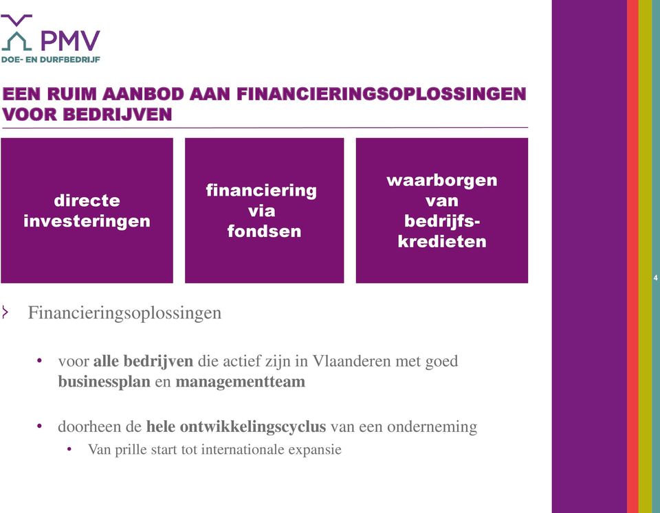 alle bedrijven die actief zijn in Vlaanderen met goed businessplan en managementteam