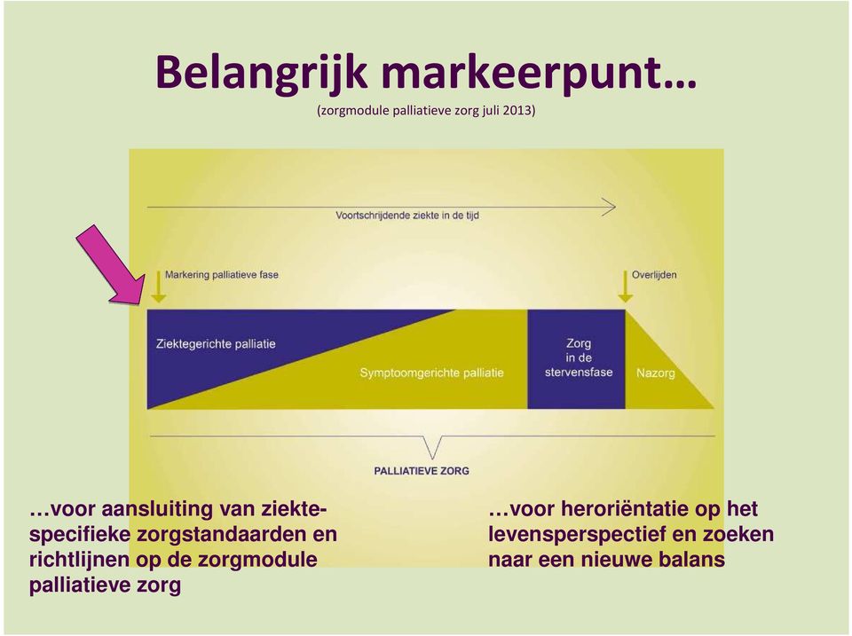 en richtlijnen op de zorgmodule palliatieve zorg voor