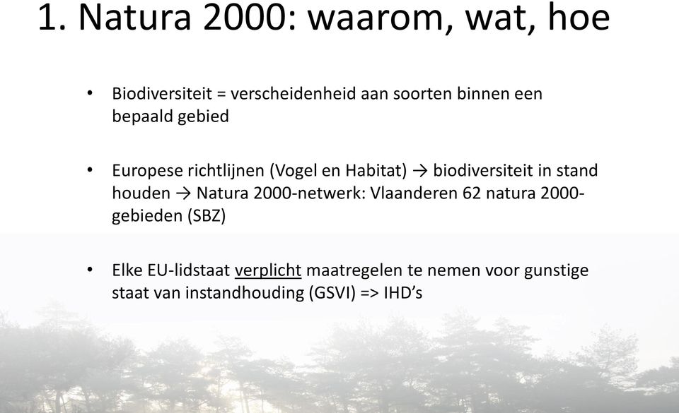 houden Natura 2000-netwerk: Vlaanderen 62 natura 2000- gebieden (SBZ) Elke