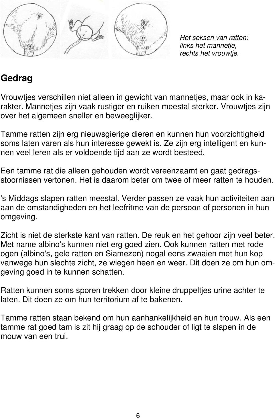 Tamme ratten zijn erg nieuwsgierige dieren en kunnen hun voorzichtigheid soms laten varen als hun interesse gewekt is.