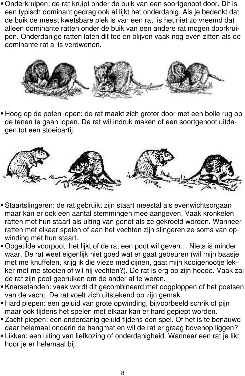 Onderdanige ratten laten dit toe en blijven vaak nog even zitten als de dominante rat al is verdwenen.