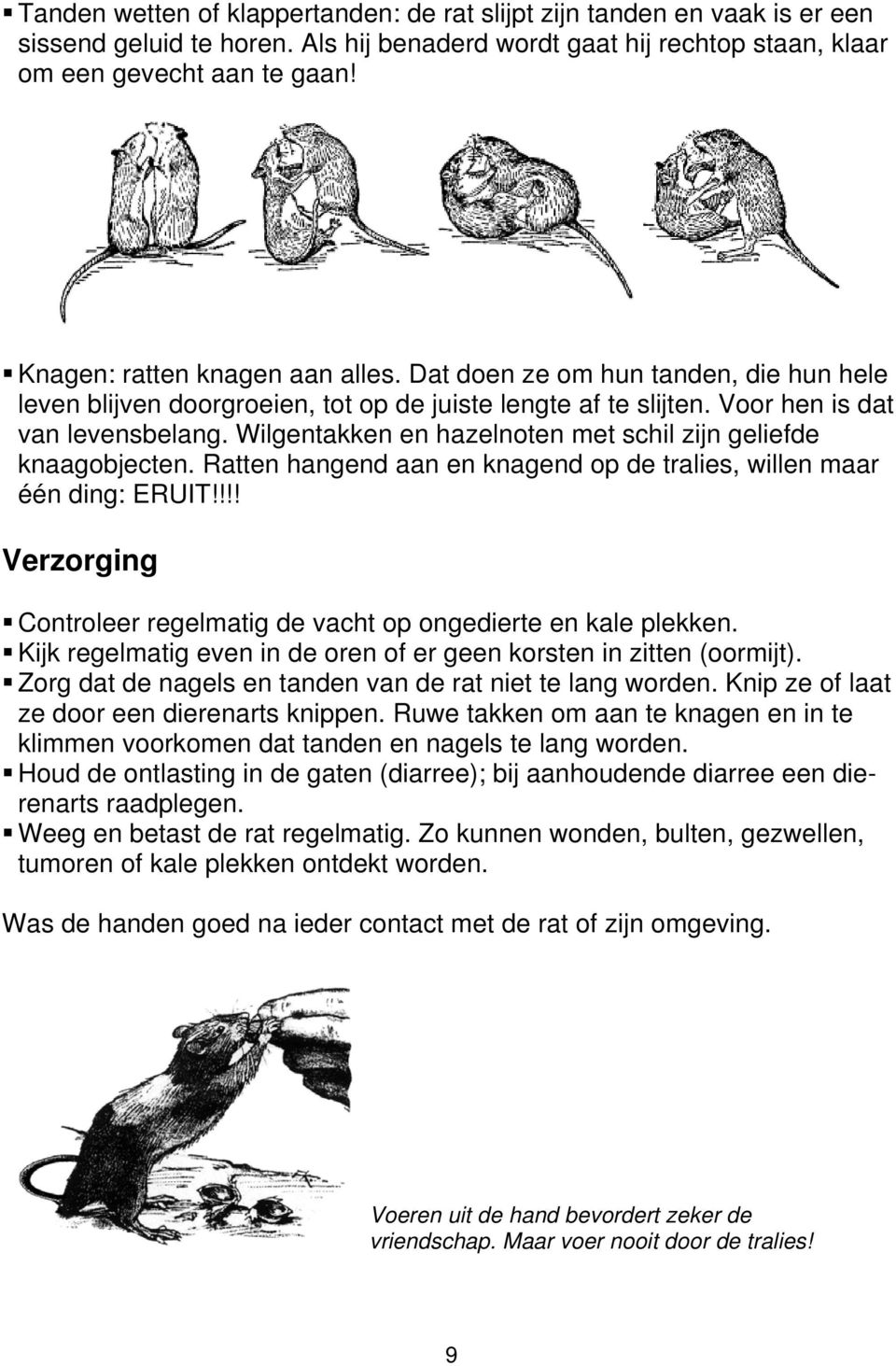 Wilgentakken en hazelnoten met schil zijn geliefde knaagobjecten. Ratten hangend aan en knagend op de tralies, willen maar één ding: ERUIT!