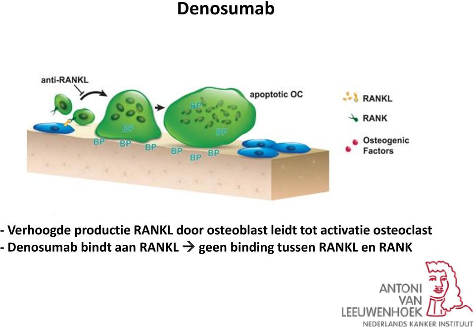 activatie osteoclast - Denosumab