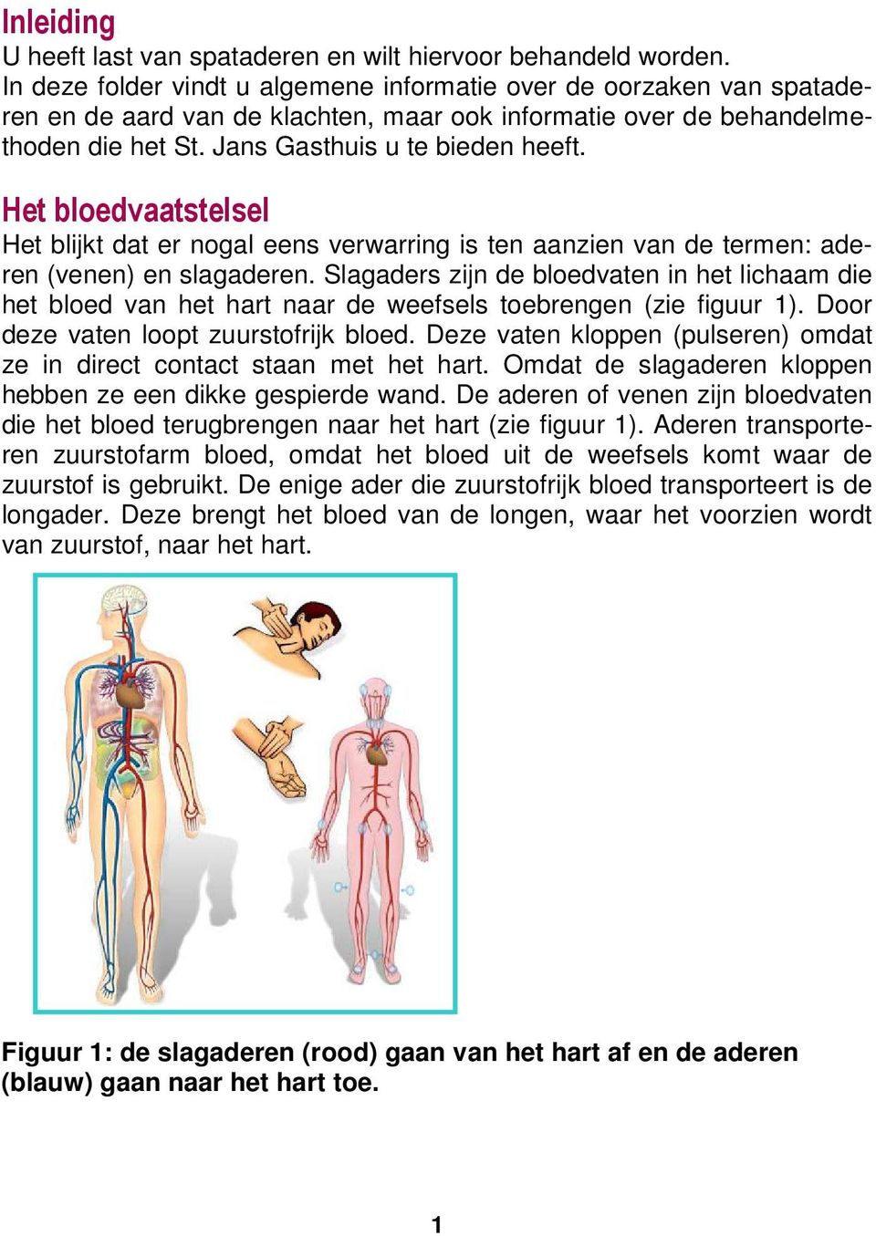 Het bloedvaatstelsel Het blijkt dat er nogal eens verwarring is ten aanzien van de termen: aderen (venen) en slagaderen.