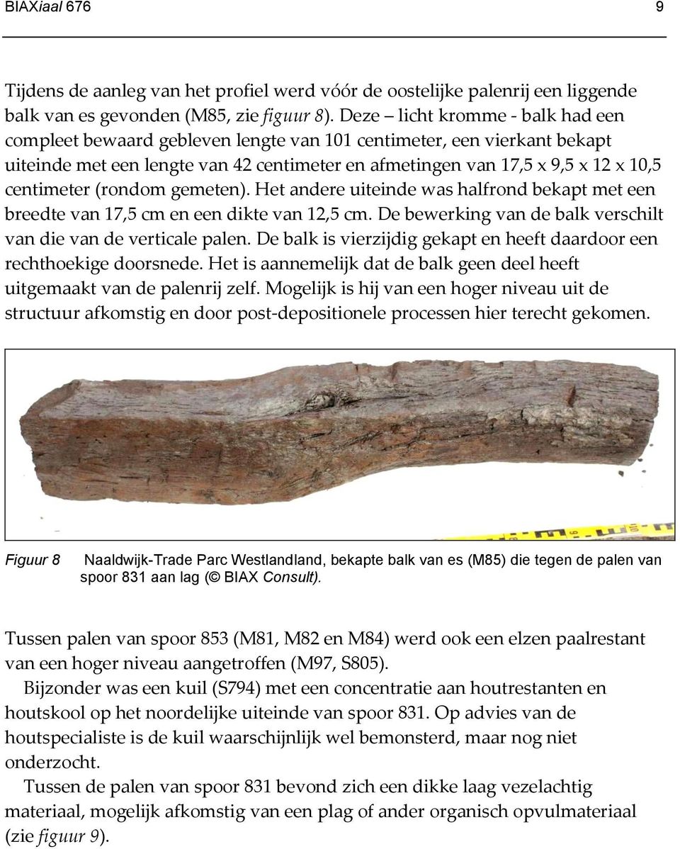 (rondom gemeten). Het andere uiteinde was halfrond bekapt met een breedte van 17,5 cm en een dikte van 12,5 cm. De bewerking van de balk verschilt van die van de verticale palen.