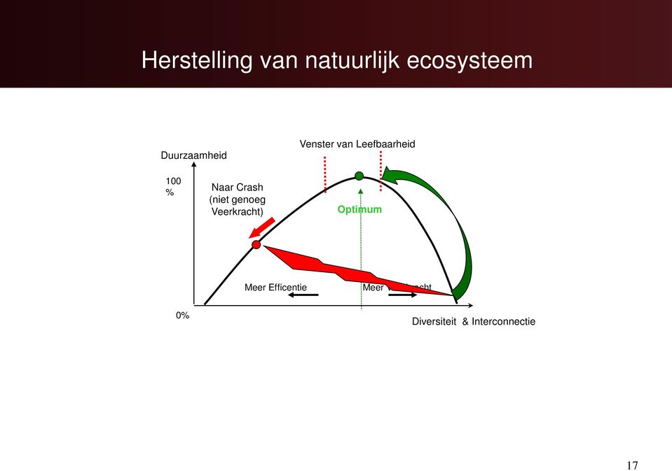 Naar Crash (niet genoeg Veerkracht) Optimum