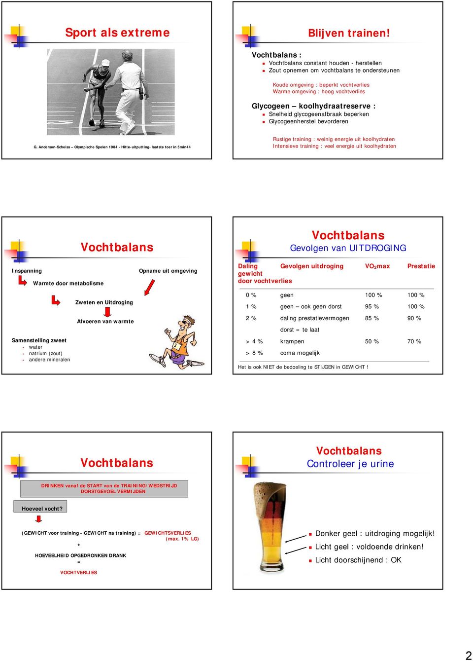 koolhydraatreserve : Snelheid glycogeenafbraak beperken Glycogeenherstel bevorderen G.