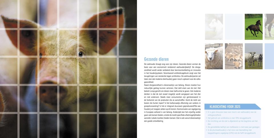 De veehouderijsector zal laten zien dat moderne dierhouderij geen risico s oplevert voor de volksgezondheid. Naast diergezondheid is dierenwelzijn van belang.