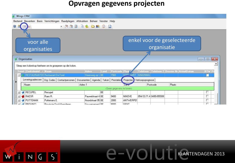 organisaties enkel