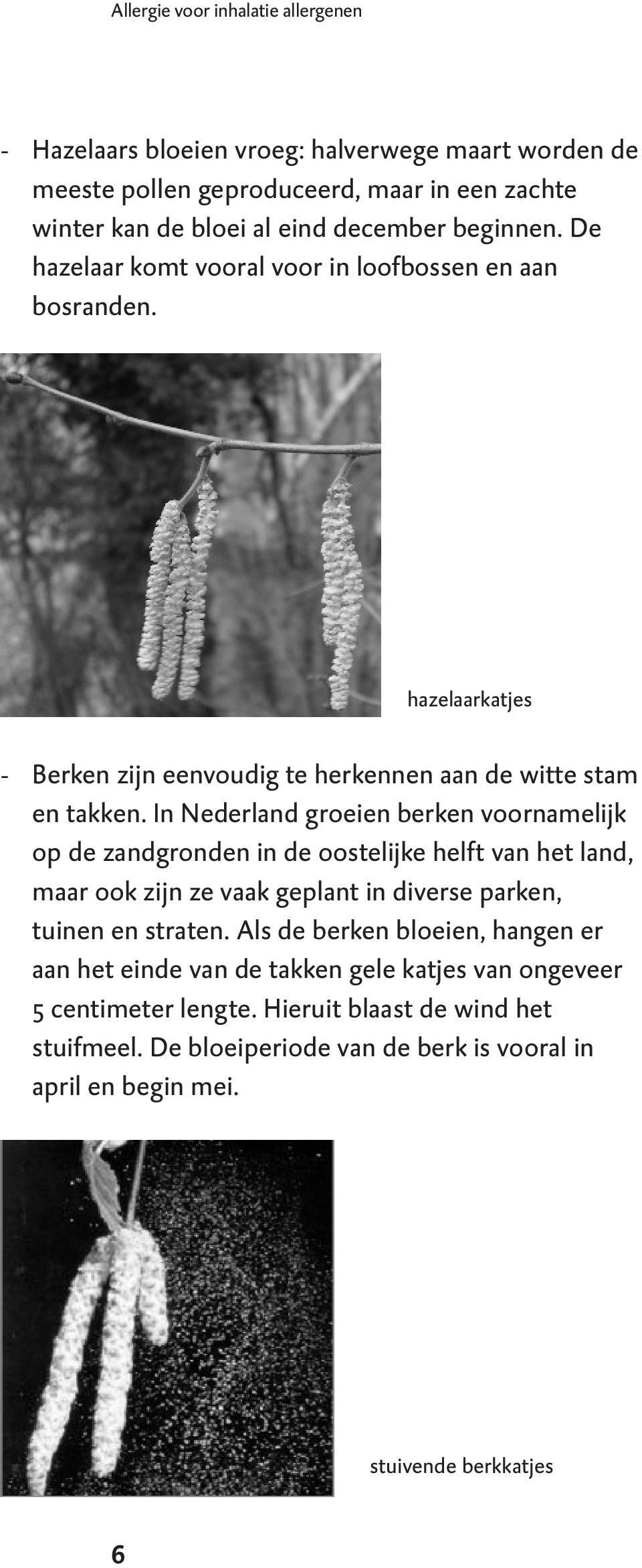 In Nederland groeien berken voornamelijk op de zandgronden in de oostelijke helft van het land, maar ook zijn ze vaak geplant in diverse parken, tuinen en straten.