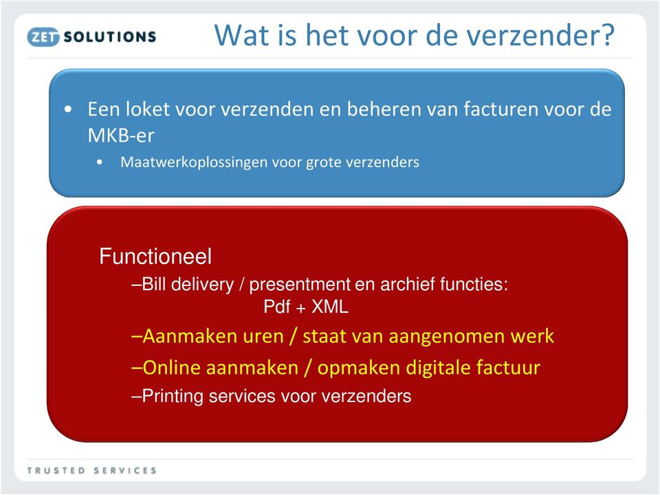 Maatwerkoplossingen voor grote verzenders Functioneel Bill delivery / presentment