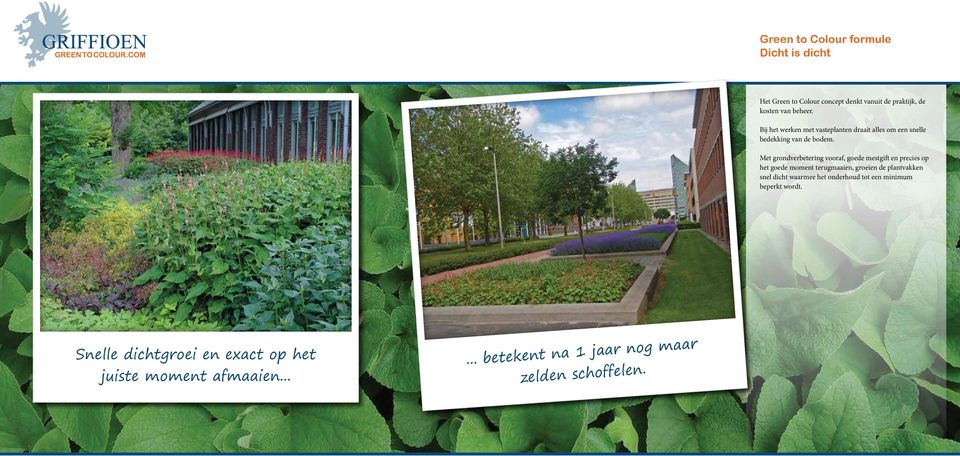 Met grondverbetering vooraf, goede mestgift en precies op het goede moment terugmaaien, groeien de plantvakken snel