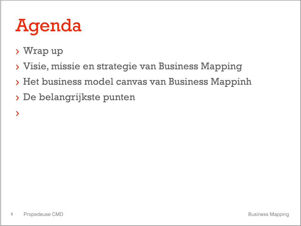 canvas van Business Mappinh De