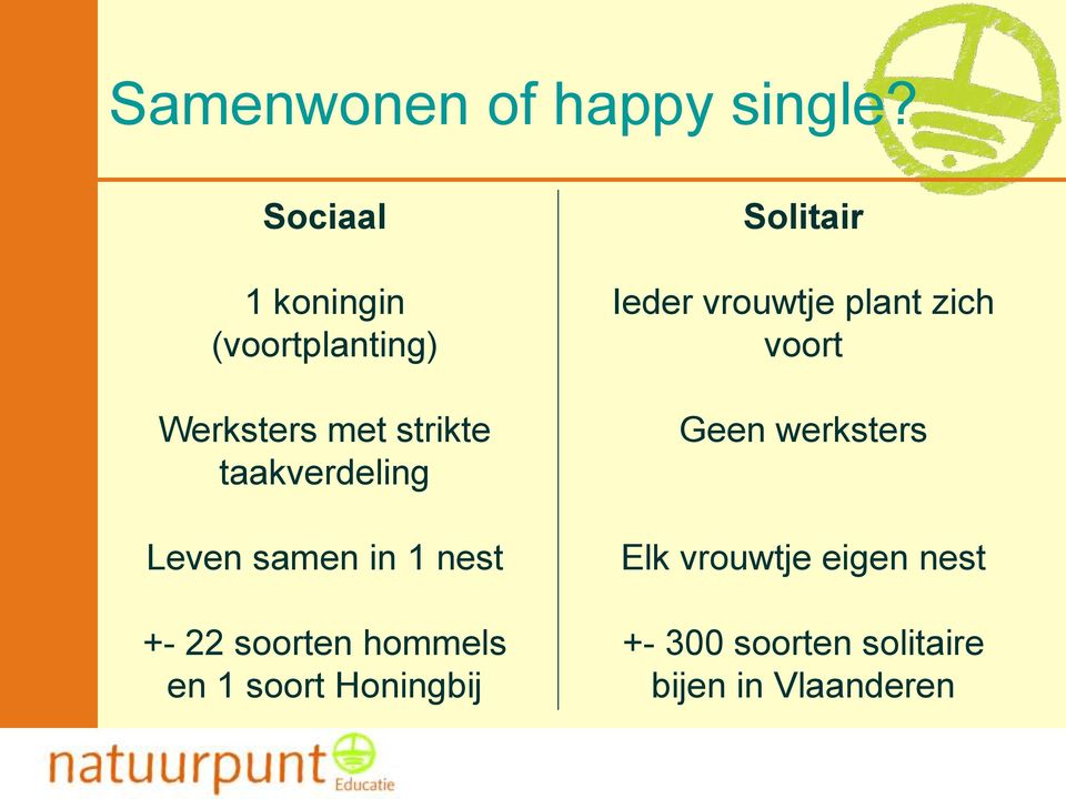 Leven samen in 1 nest +- 22 soorten hommels en 1 soort Honingbij