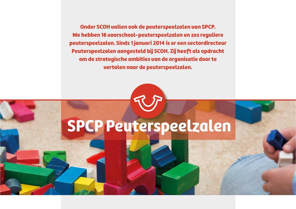 Sinds 1 januari 2014 is er een sectordirecteur Peuterspeelzalen aangesteld bij SCOH.