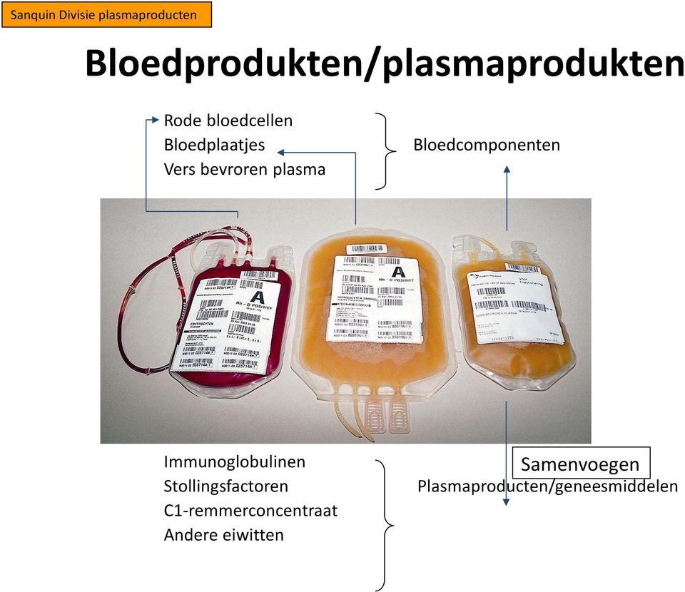 Bloedcomponenten Albumine Immunoglobulinen Stollingsfactoren