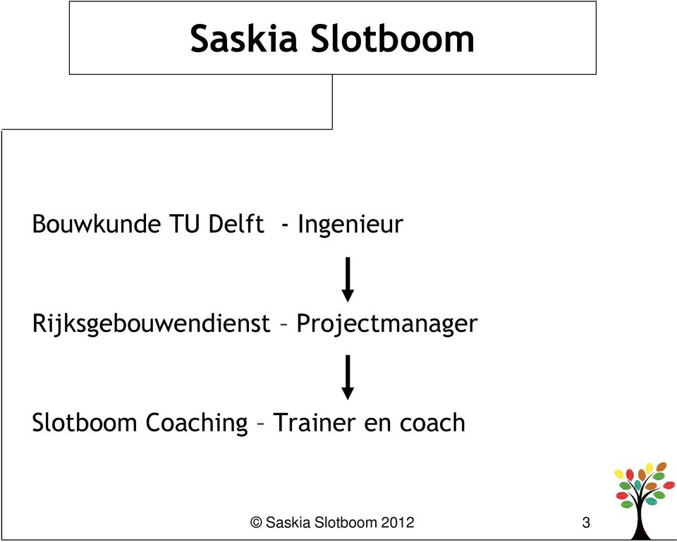 Projectmanager Slotboom Coaching