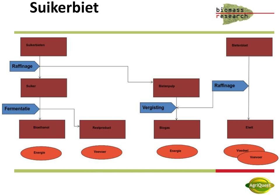 Sugar plus biogas plus proteins